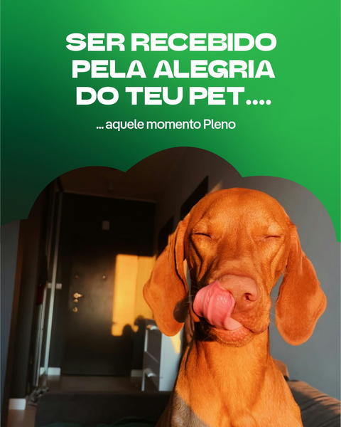 Aquele momento que torna qualquer dia melhor! #PlenoÉdaTuaNatureza ​