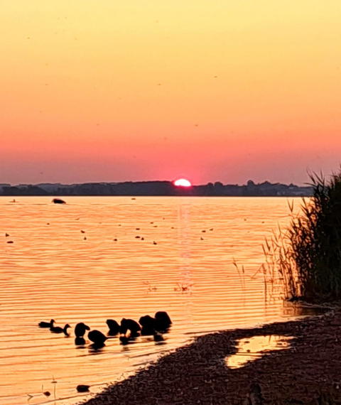 Chiemsee Instagram