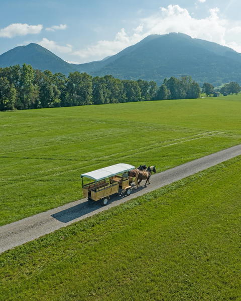 Chiemsee Instagram