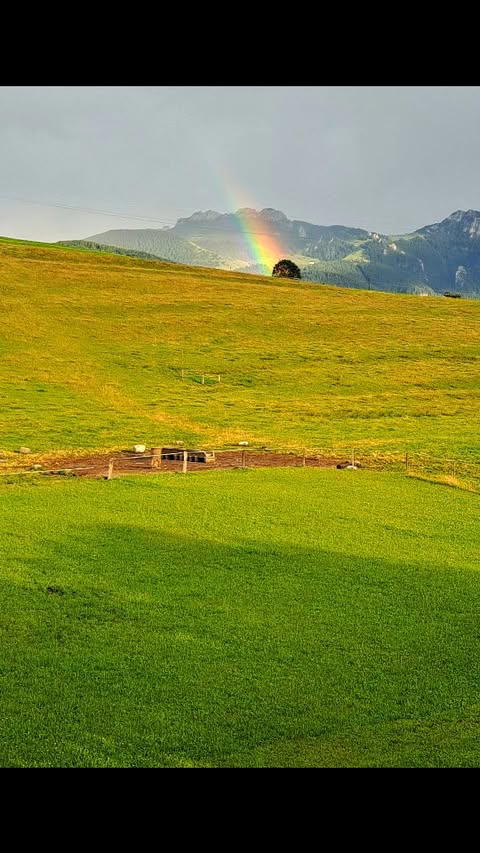 Chiemsee Instagram