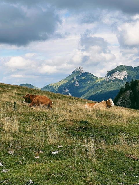 Chiemsee Instagram